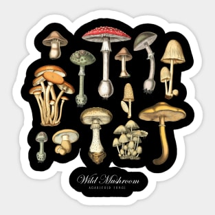 Wild Mushroom Vintage Encyclopedia Sticker